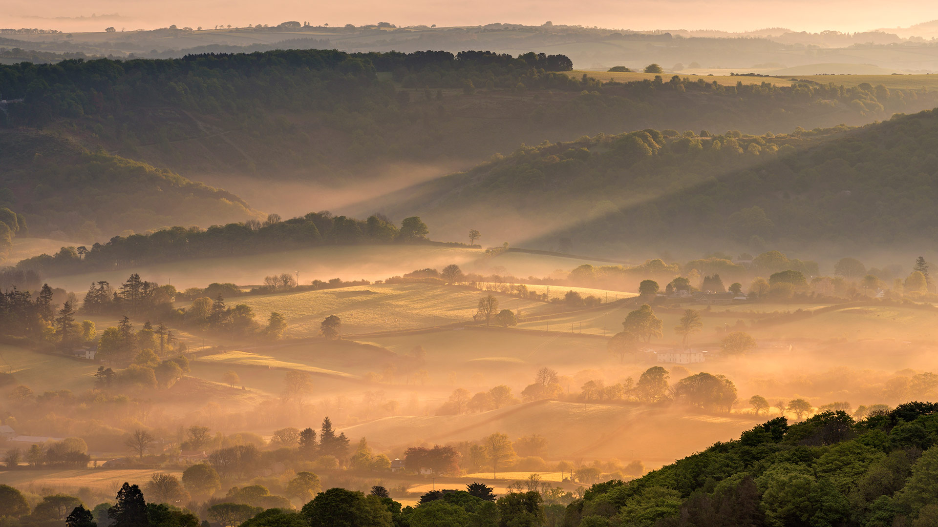 达特穆尔国家公园的薄雾，英格兰德文郡 (© AWL Images/Danita Delimont)(Bing China)