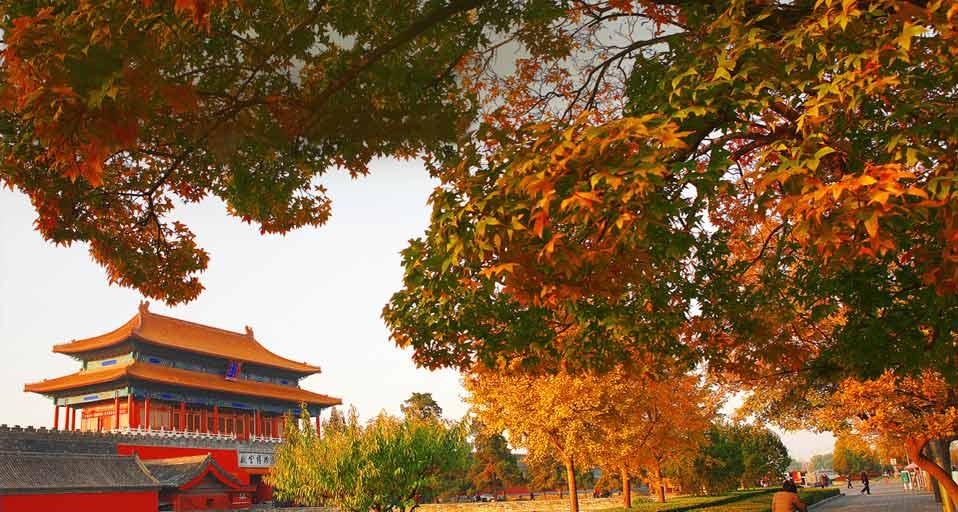 北京故宫博物院 (© TAO Images Limited/Getty Images) &copy; (Bing China)