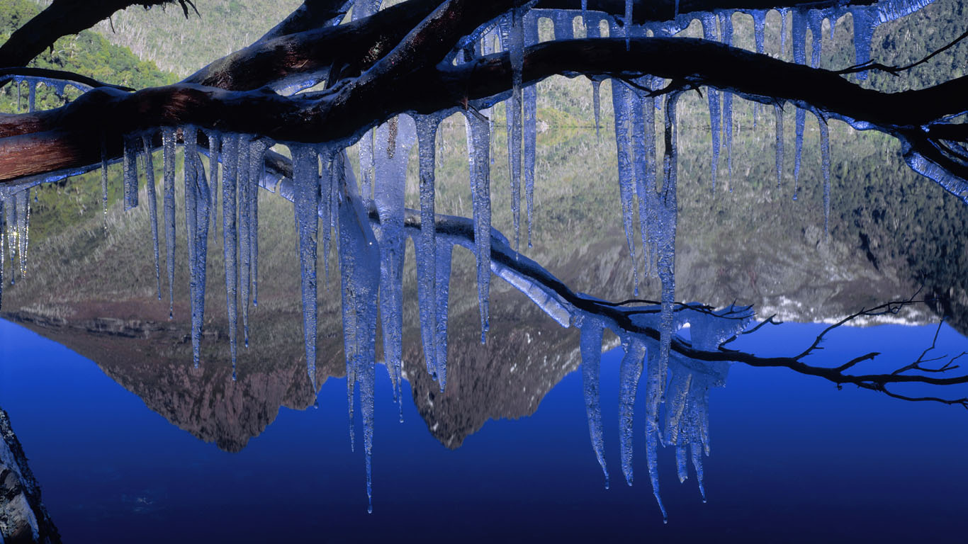 Icicles on a branch near Cradle Mountain, Tasmania (© Ted Mead/Photolibrary/Getty Images)(Bing Australia)