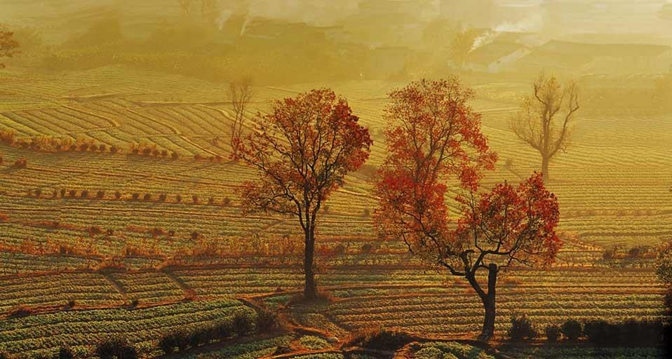 安徽古徽州区域，阳光下的村庄 (© View Stock/Stock Connection/Aurora Photos) &copy; (Bing China)