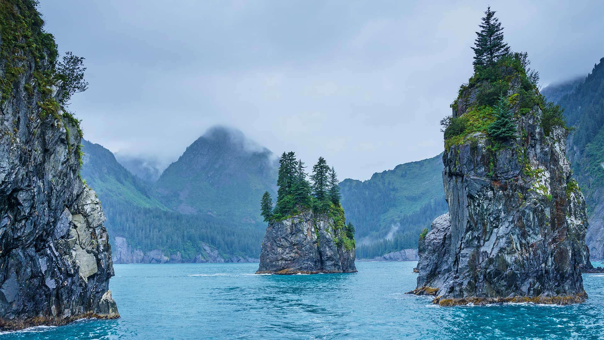 基奈峡湾国家公园的尖顶湾，阿拉斯加 (© Sekar B/Shutterstock)(Bing China)