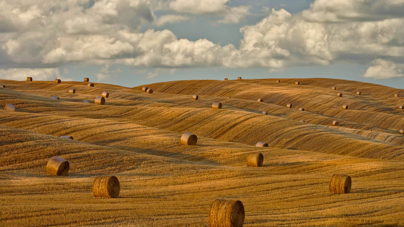 意大利托斯卡纳的干草垛 (© Chris Ryan/plainpicture)(Bing China)
