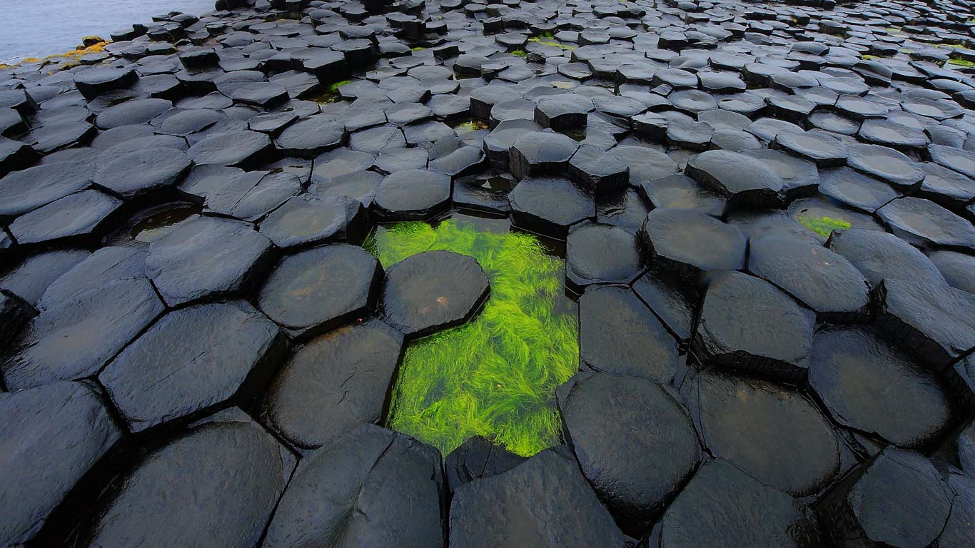 英国北爱尔兰安特里姆郡的巨人堤道 (© Nando Pizzini Photography/Getty Images)(Bing China)