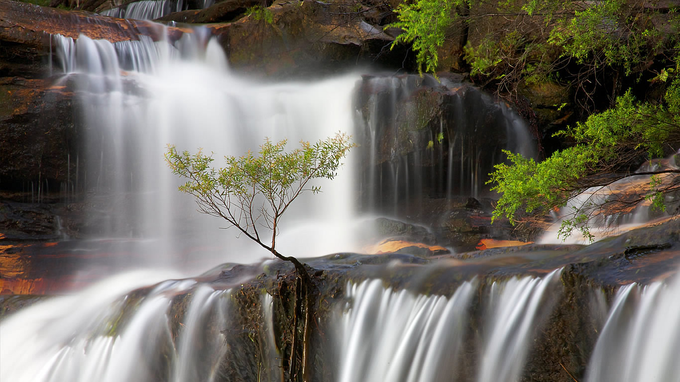 Wenthworth Falls in the Blue Mountains, New South Wales (© Stonemeadow Photography/Alamy)(Bing Australia)