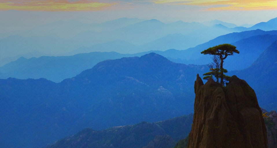 黄山白云景区的松树 (© Radius Images) &copy; (Bing China)