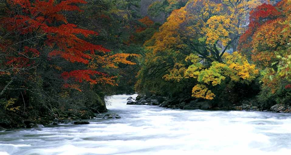 秋的踪迹：米亚罗河畔的秋漾 -- View Stock/Photolibrary &copy; (Bing China)