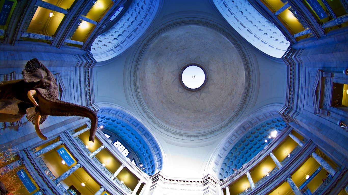 Rotunda of the Smithsonian Institution National Museum of Natural History in Washington, D.C. (© National Geographic Image Collection/Alamy)(Bing Canada)