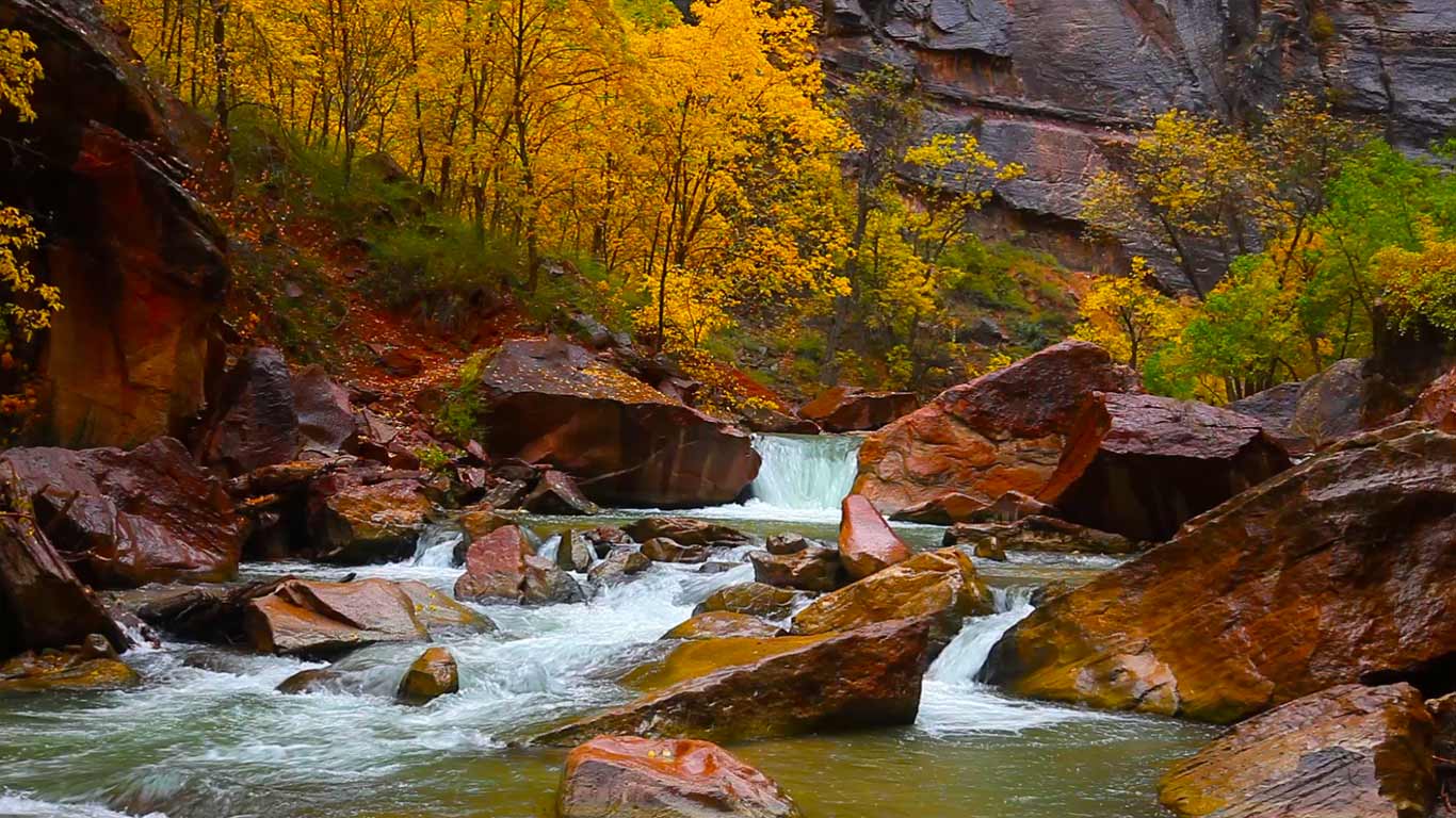 美国犹他州锡安峡谷，处女河北流 (© Shutterstock)(Bing China)