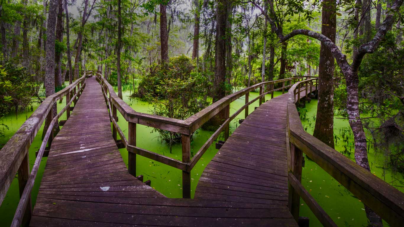Wooden walkway in the Whooping Crane Pond Conservancy on Hilton Head Island, South Carolina (© Rachid Dahnoun/Tandem Stills + Motion)(Bing Canada)