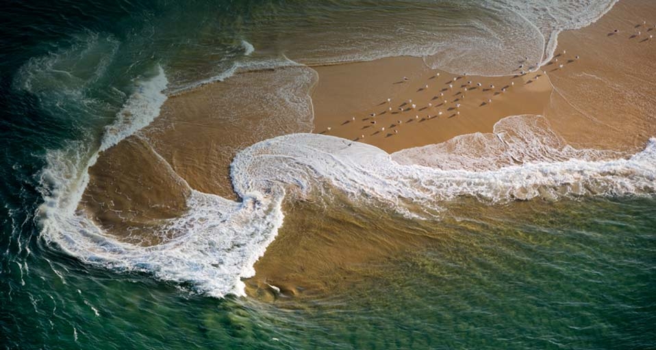 ｢アルカション湾のカモメの群れ｣フランス, ジロンド -- Jean-Daniel Sudres/Corbis &copy; (Bing Japan)