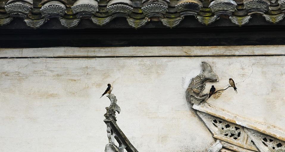 中国西递，鸟儿落在屋脊上 (© Yang Liu/Corbis) &copy; (Bing China)