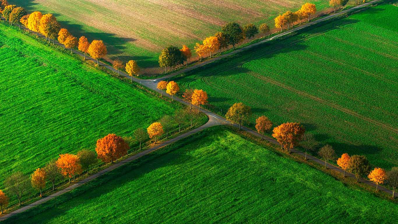 诺图尔恩小镇，Münsterland，北莱茵-威斯特法伦州，德国 (© Hans Blossey/age fotostock)(Bing China)
