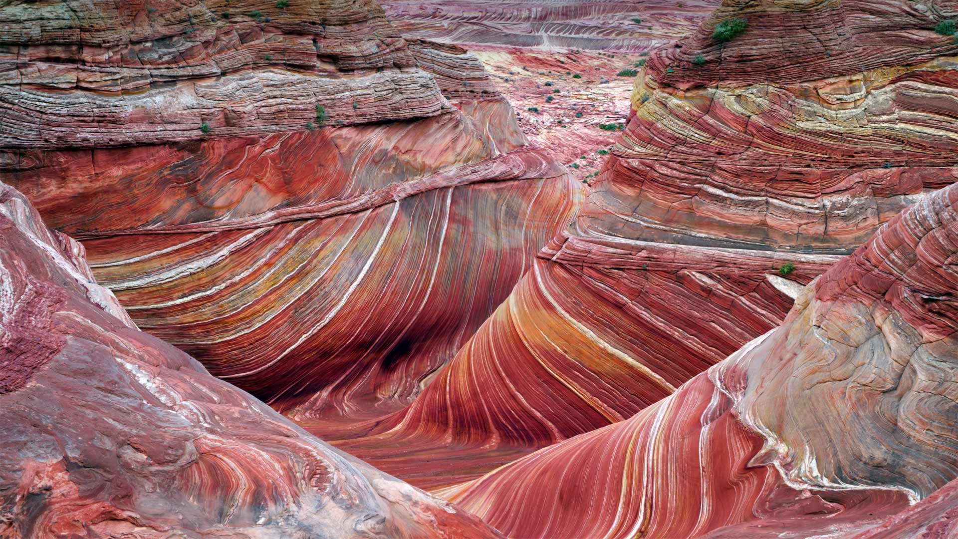 北狼丘里的"波浪谷"，美国亚利桑那州 (© Dennis Frates/Alamy)(Bing China)