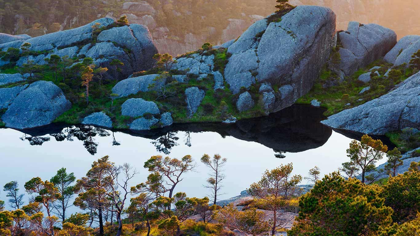 苏拉群岛上的苏格兰松树，松恩-菲尤拉讷，挪威 (© Orsolya Haarberg/Minden Pictures)(Bing China)