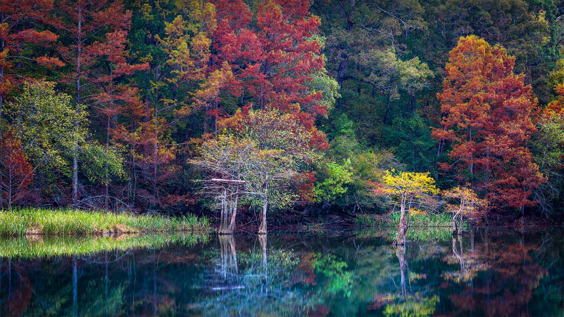 海狸湾度假公园, 美国俄克拉何马州 (© Inge Johnsson/Alamy)(Bing China)