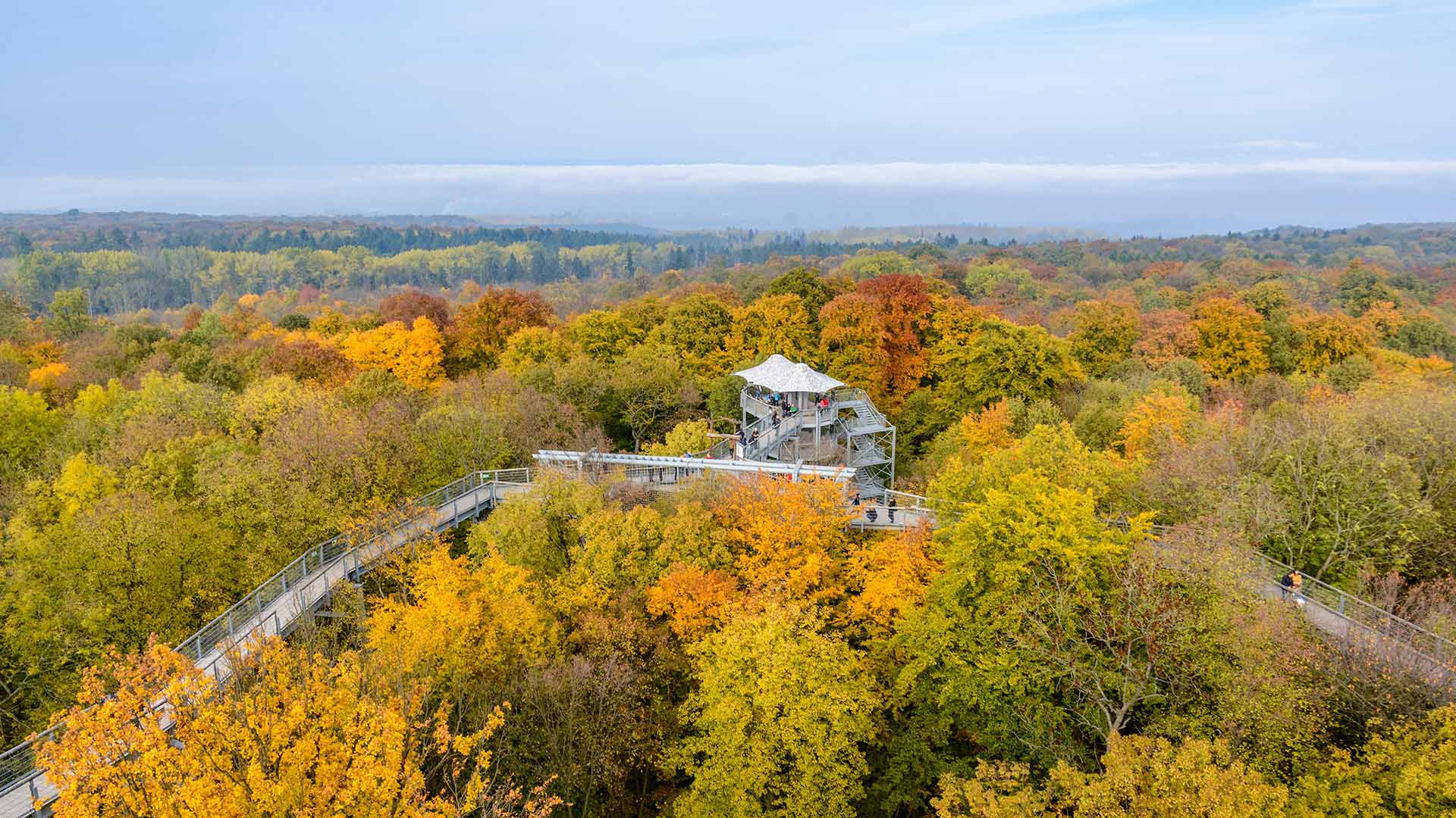 Treetop walkway in Hainich National Park, Thuringia, Germany (© mauritius images GmbH/Alamy)(Bing China)