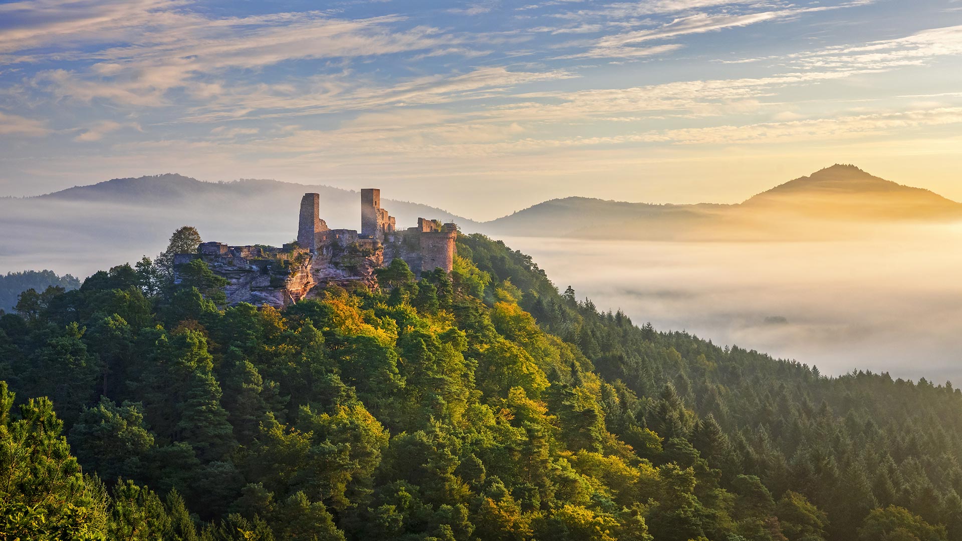 ｢アルトダーン城｣ドイツ, ラインラント＝プファルツ州 (© Reinhard Schmid/Huber/eStock Photo)(Bing Japan)