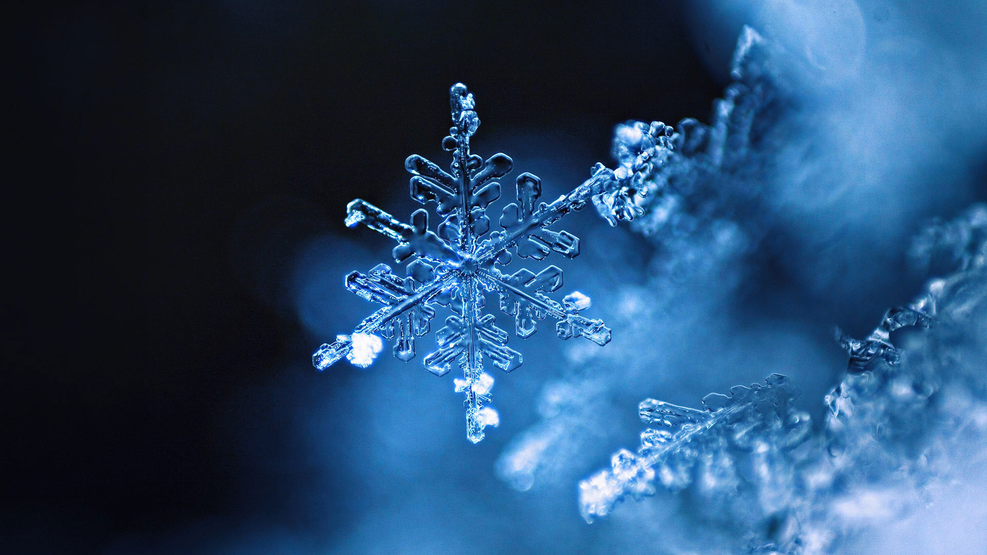 雪花 (© TothGaborGyula/Getty Images Plus)(Bing China)