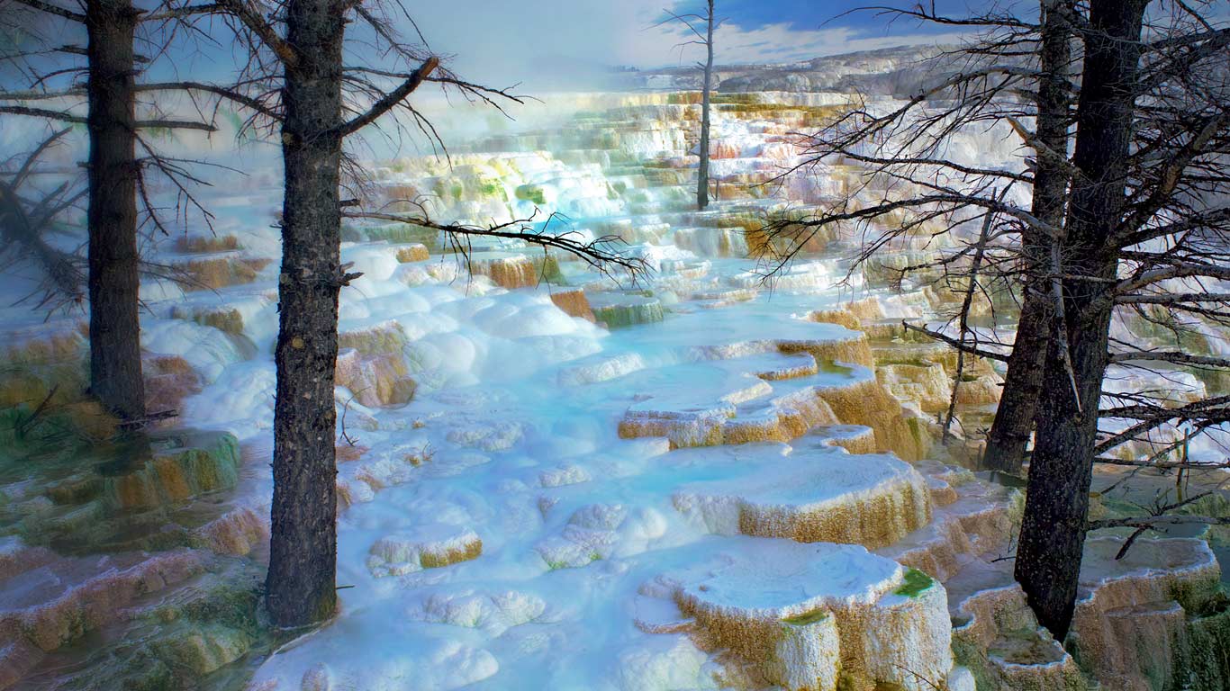 猛犸热泉的密涅瓦梯田，黄石国家公园，怀俄明州 (© Tim Fitzharris/Minden Pictures)(Bing China)