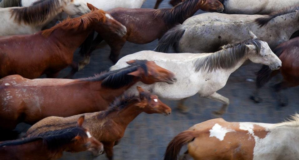 (© Felipe Rodríguez/age fotostock) &copy; (Bing New Zealand)