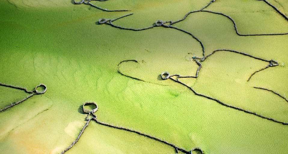 Fish traps in Kosi Bay, South Africa (© Michael Fay/Aurora Photos) &copy; (Bing United States)
