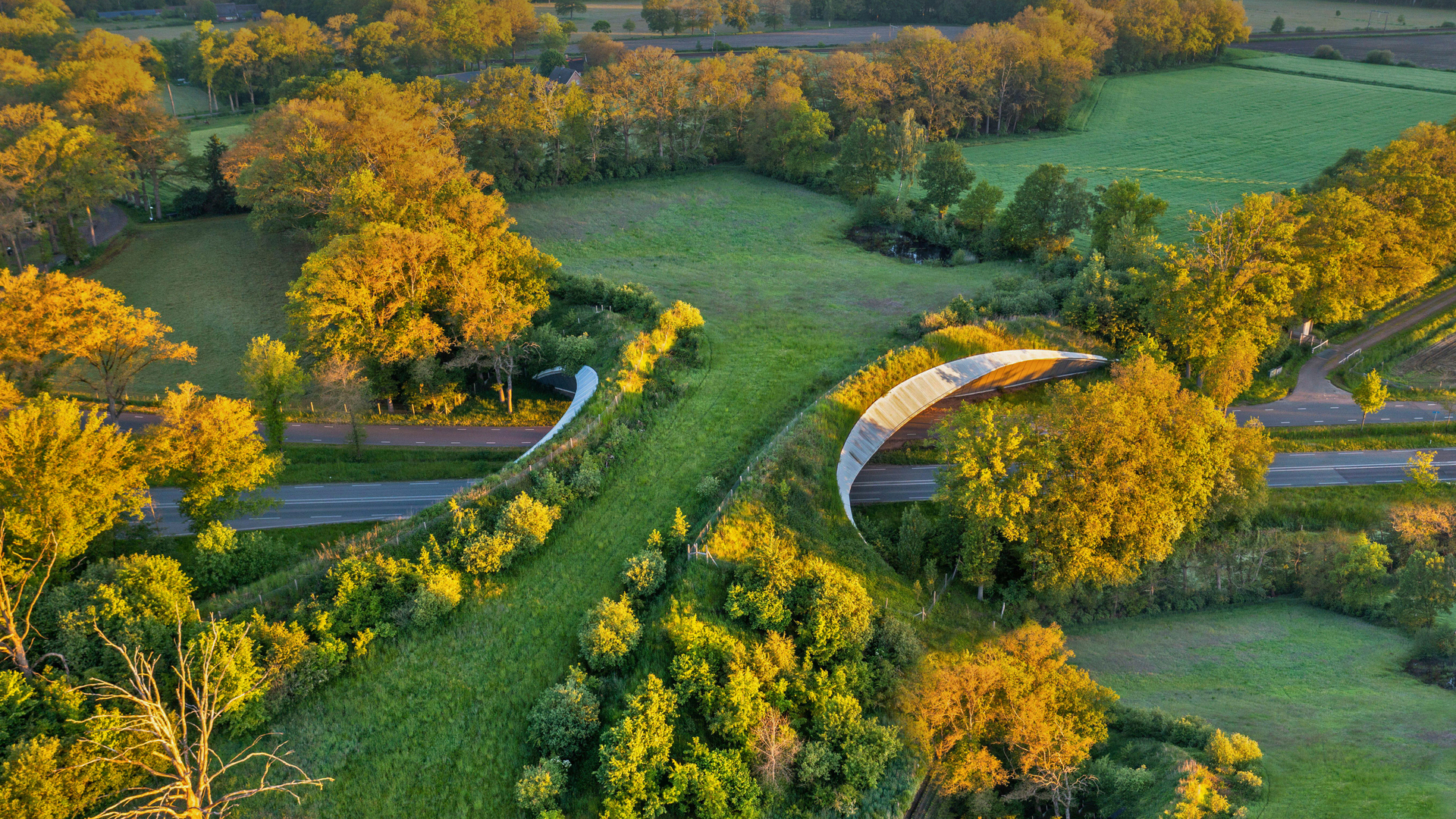 维尔登的野生动物通道，荷兰 (© Frans Lemmens/Alamy)(Bing China)