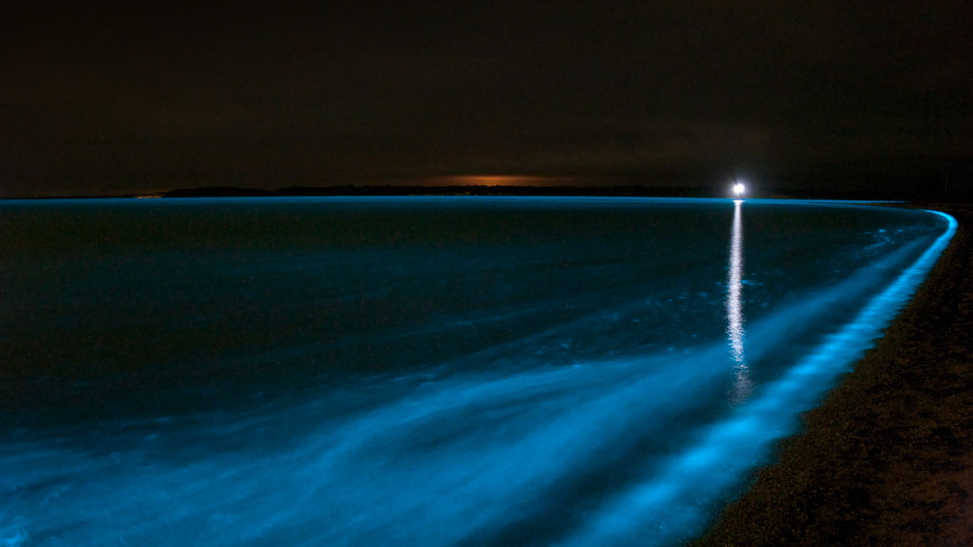 Bioluminescence in the Gippsland Lakes, Victoria, Australia (© Stocktrek Images/Getty Images)(Bing Canada)