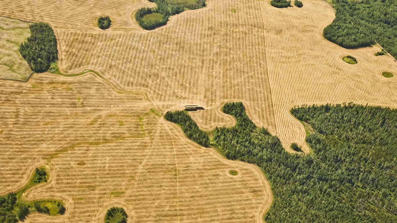 Aerial view of farmland, near Vancouver, BC, Canada (© Brendan Meadows/Cultura/plainpicture)(Bing Canada)