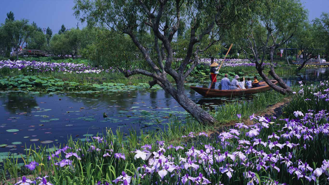 ｢水郷佐原水生植物園｣千葉, 香取市 (© JTB Photo Communications, Inc./age fotostock)(Bing Japan)
