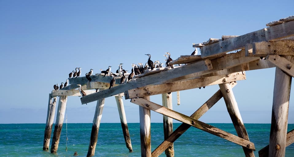 Jetty at Eucla, Western Australia (© Linda and Colin McKie/Photodisc/Getty Images) &copy; (Bing Australia)