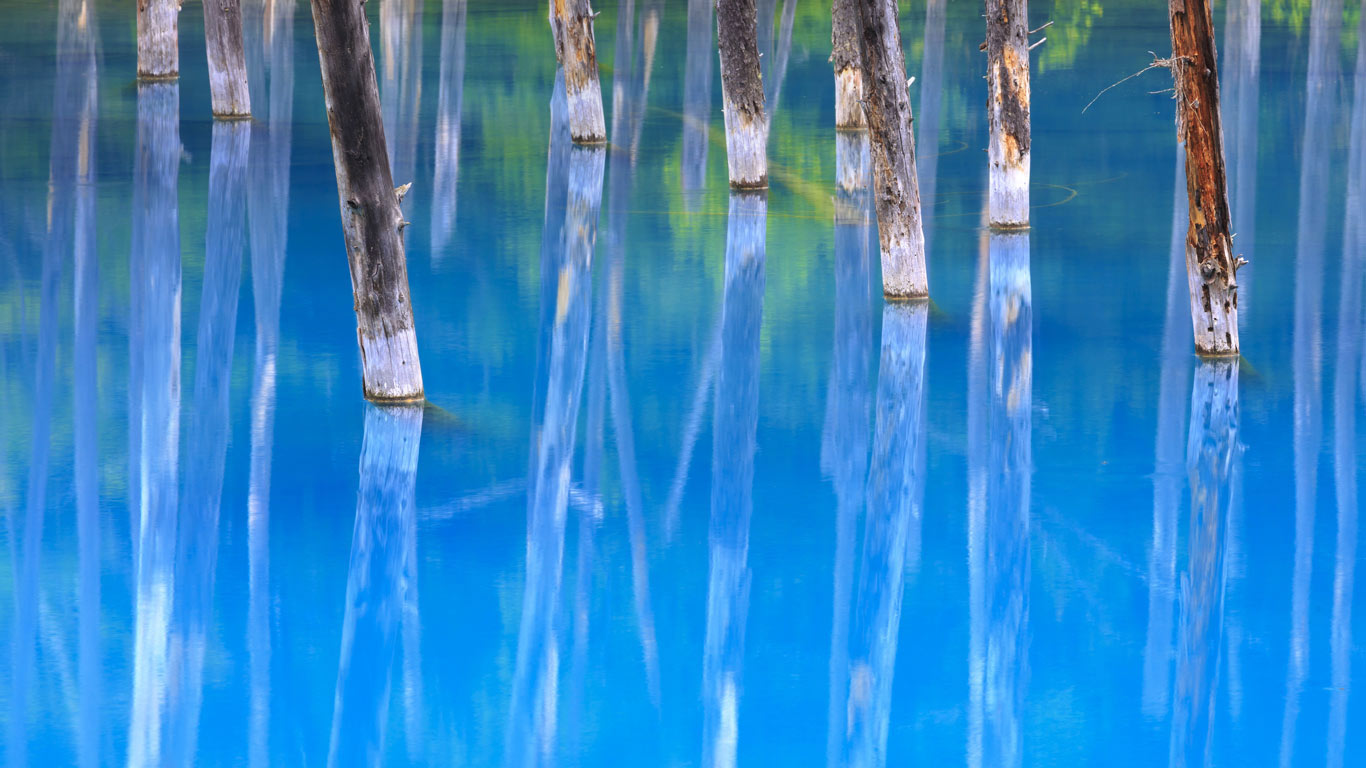 日本北海道的美瑛蓝池 (© JTB Photo/UIG/Getty Images)(Bing China)