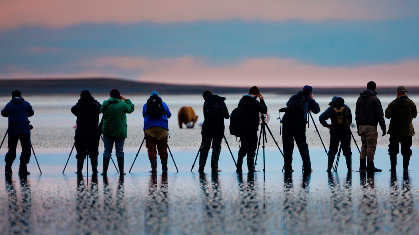 Photographing a brown bear in Lake Clark National Park and Preserve, Alaska  (© Art Wolfe/Mint Images)(Bing United States)