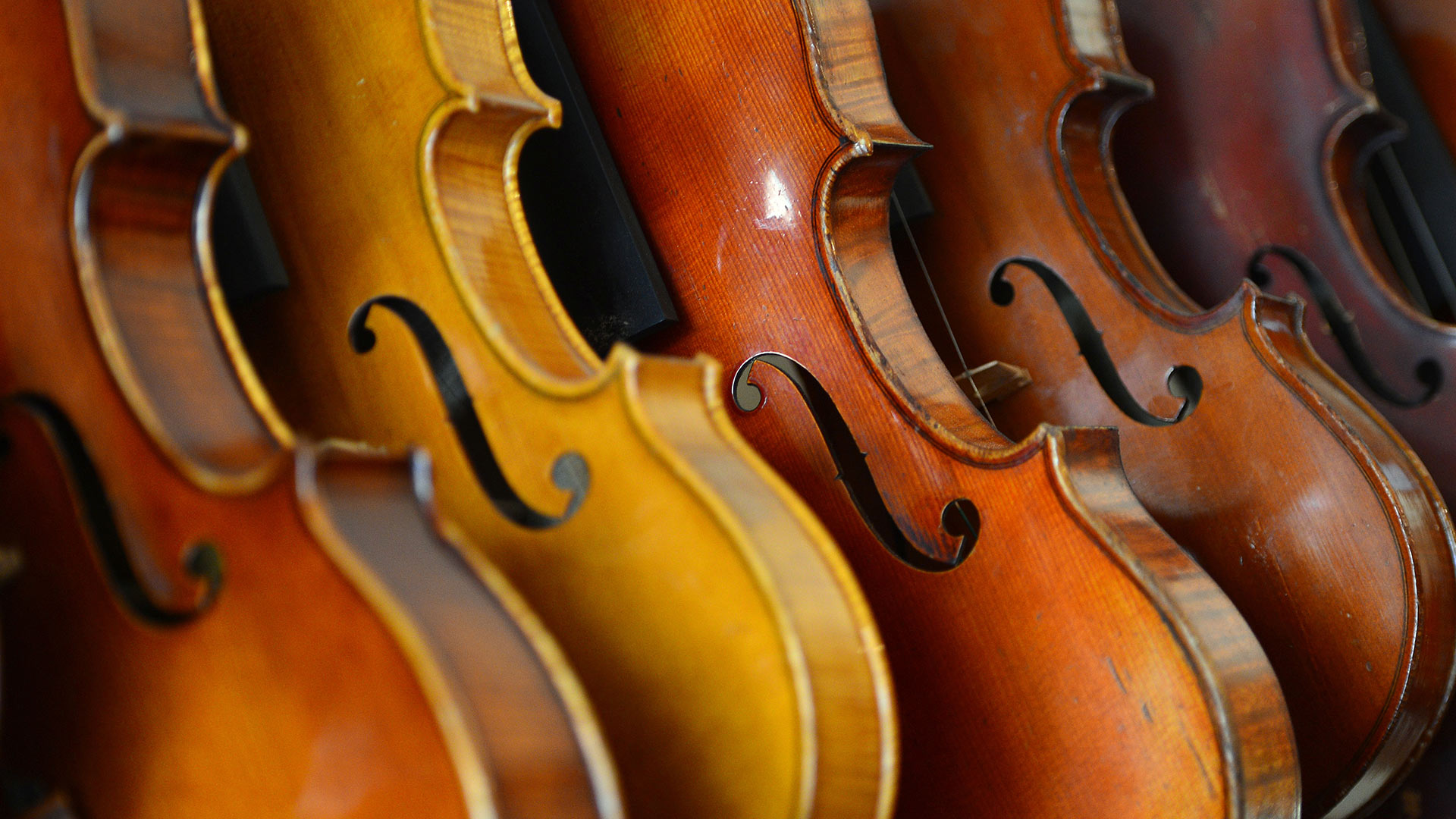 Violons exposés dans l’atelier du luthier français Mathias Menanteau, Rome, Italie (© Gabriel Bouys/AFP/Getty Images)(Bing France)