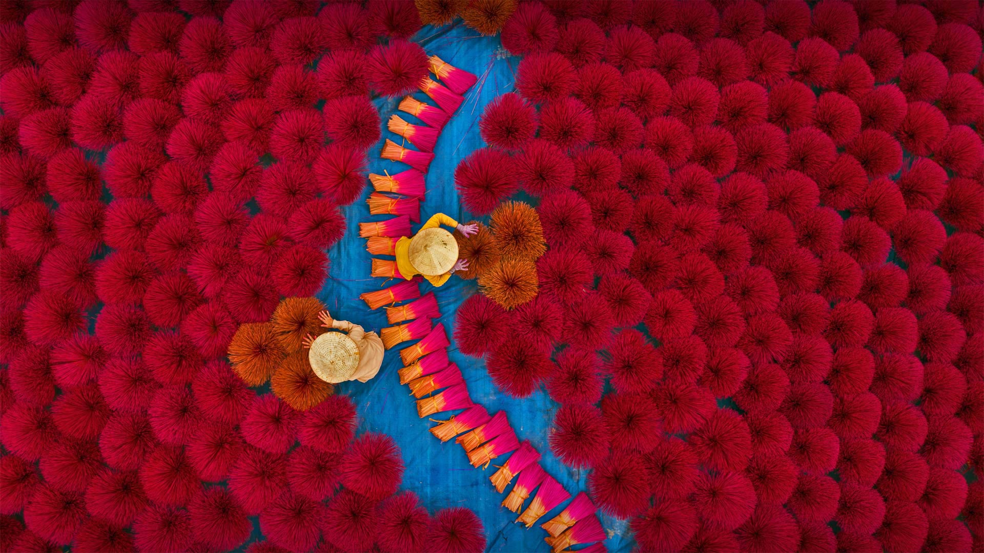 Workers in an incense field, Huyện Ứng Hòa district of Hanoi, Vietnam (© Azim Khan Ronnie/Amazing Aerial Agency)(Bing Australia)