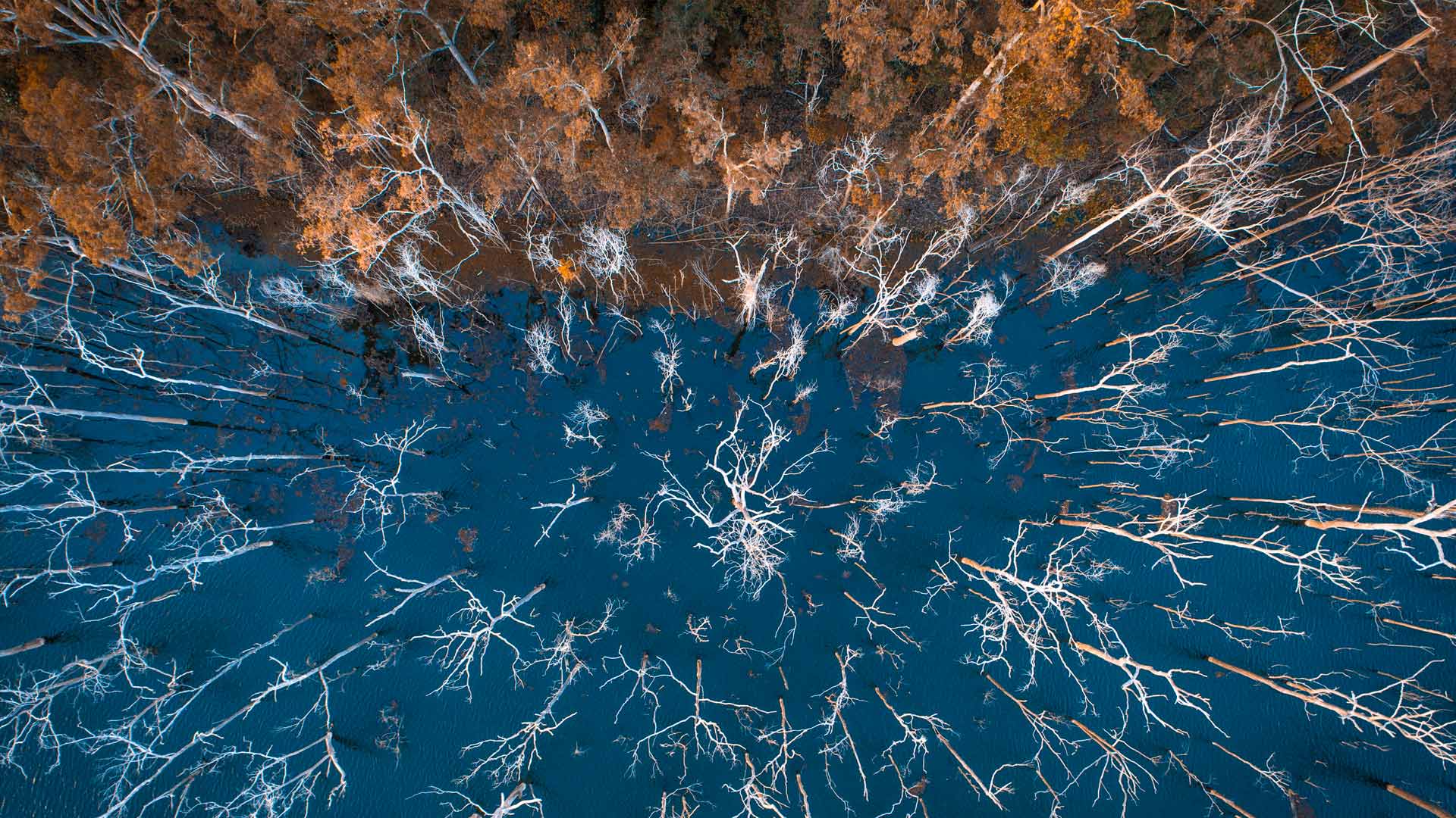 Advancetown lake and forest, Gold Coast, Queensland, Australia (© AzmanL/E+/Getty Images)(Bing Canada)