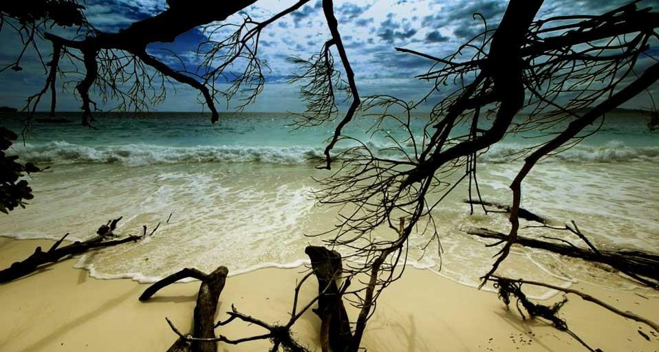 A remote beach in the Similan Islands, Thailand (© Clipcanvas) &copy; (Bing Canada)