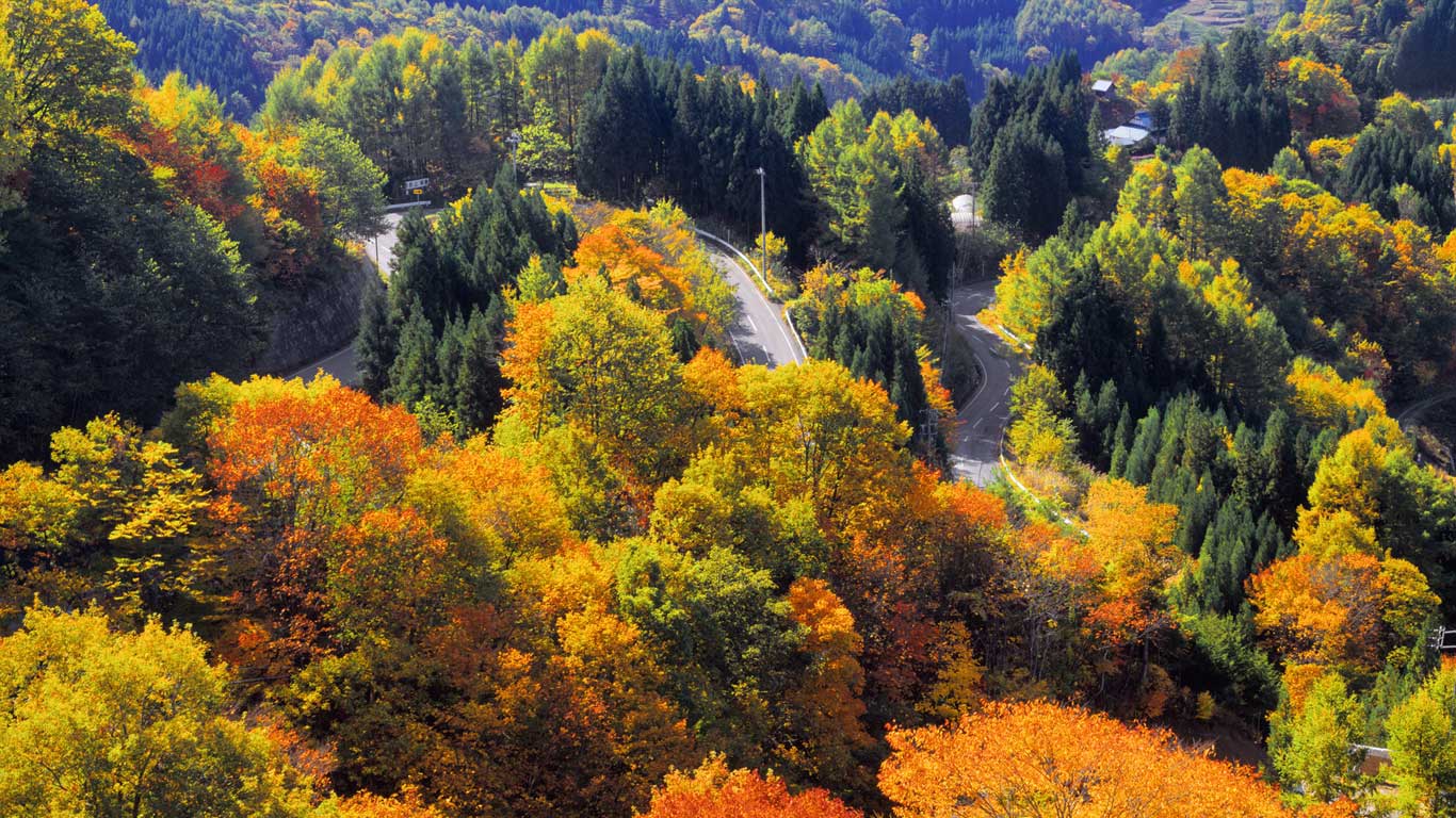 ｢秋の峠｣長野 (© GYRO PHOTOGRAPHY/Corbis)(Bing Japan)
