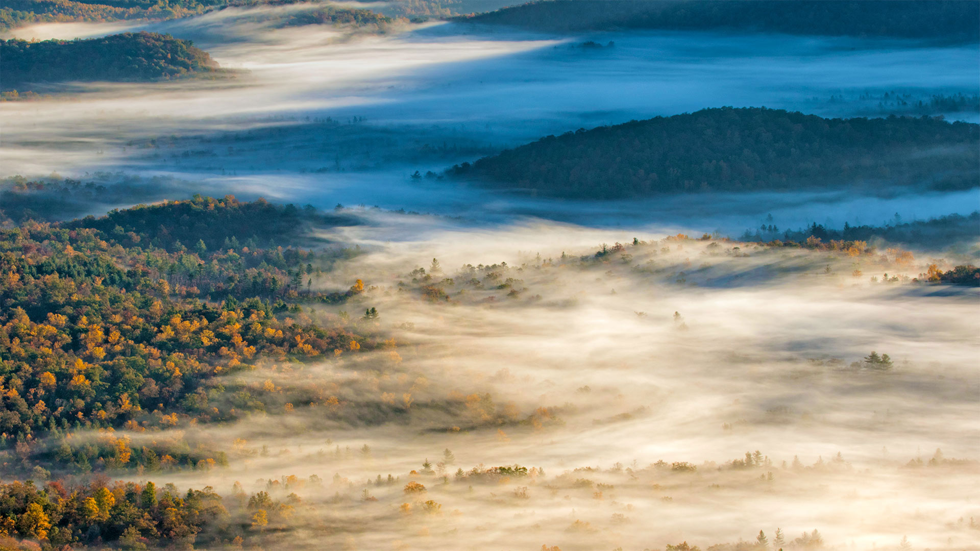 布里瓦德附近的皮斯加国家森林，北卡罗来纳州 (© Adam Jones/Danita Delimont)(Bing China)