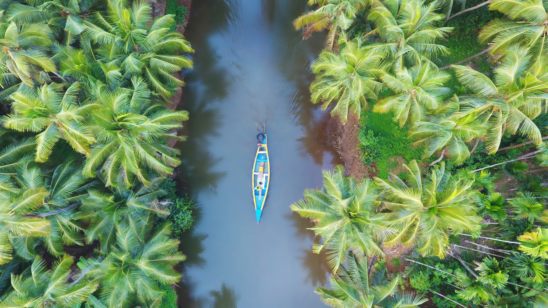 在喀拉拉邦河流中行驶的一艘小船，印度 (© Shutterstock)(Bing China)