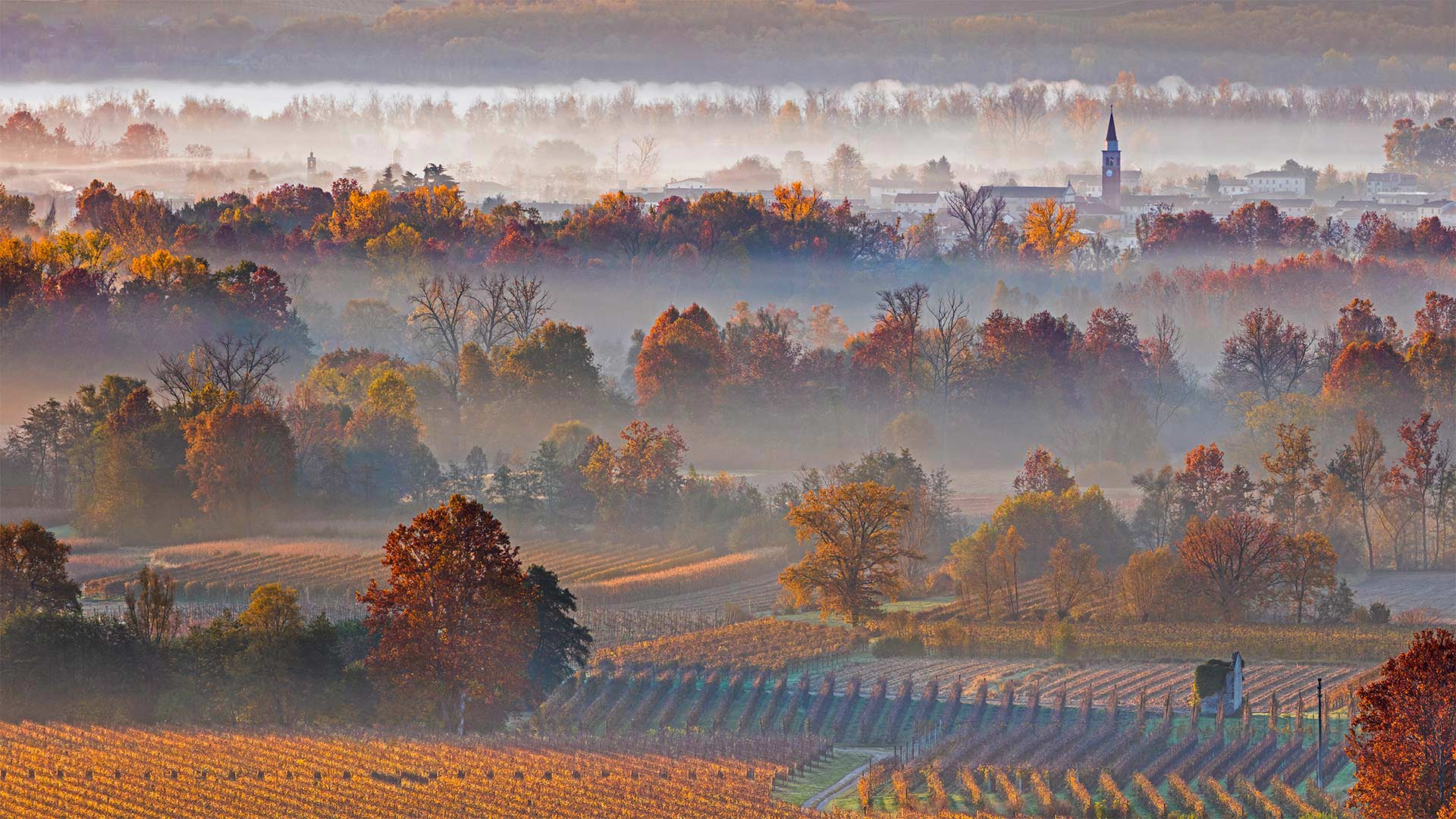 世界著名气泡酒产地普罗塞克山丘,意大利威尼托 (© Olimpio Fantuz/Sime/eStock Photo)(Bing China)