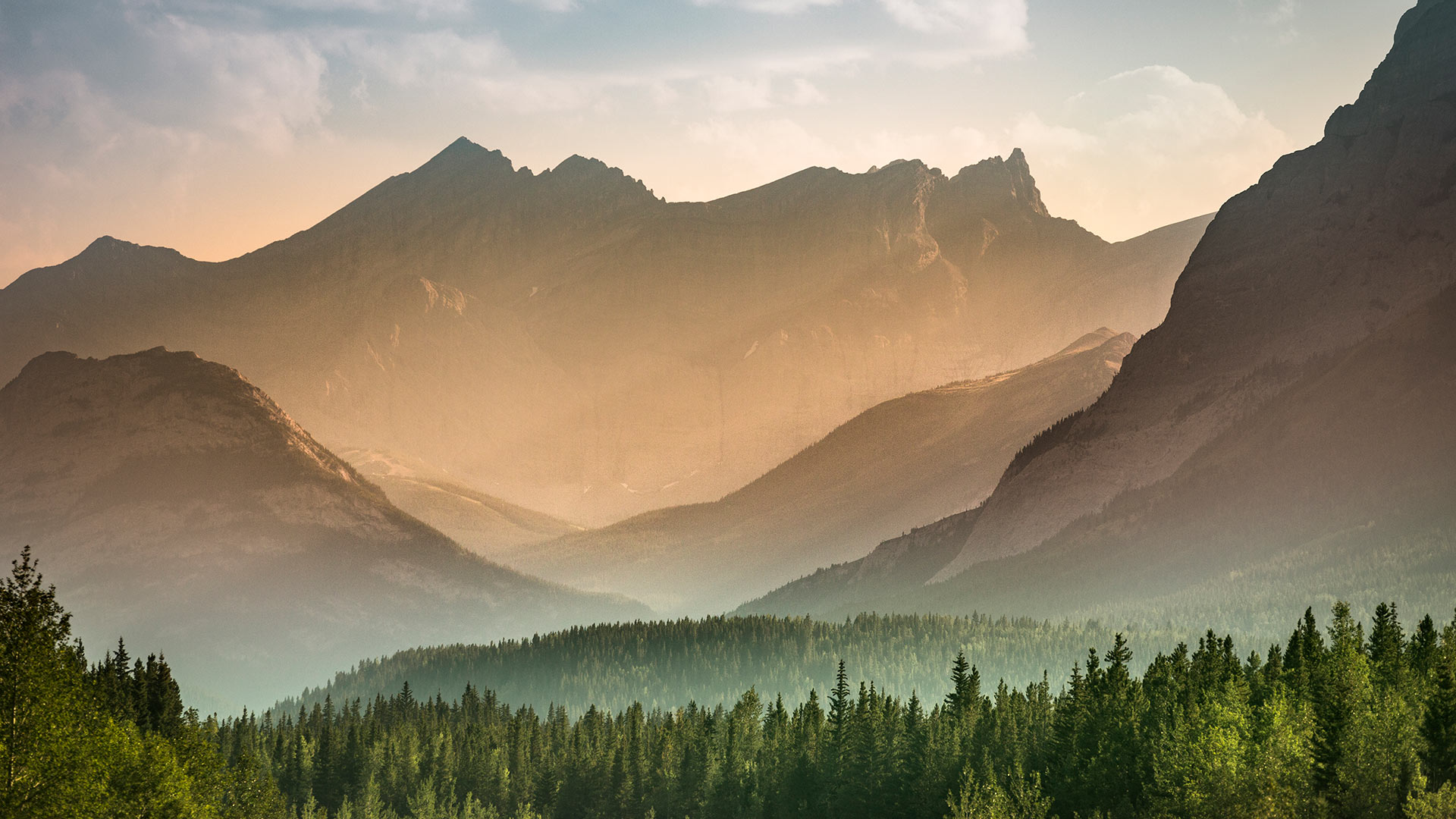 Mist rises over the forest in Banff National Park, Alberta (© Pgiam/Getty Images)(Bing Canada)