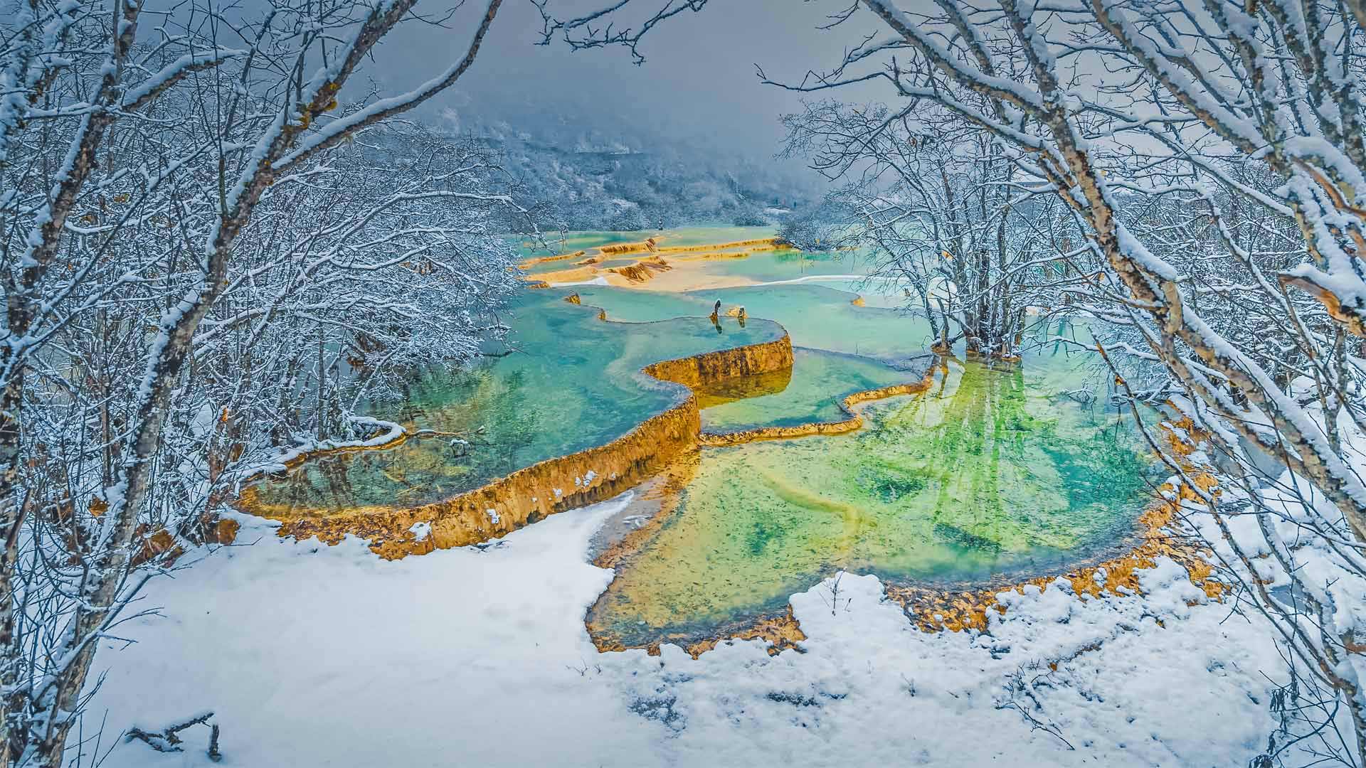 四川黄龙风景名胜区，中国 (© primeimages/Getty Images)(Bing China)