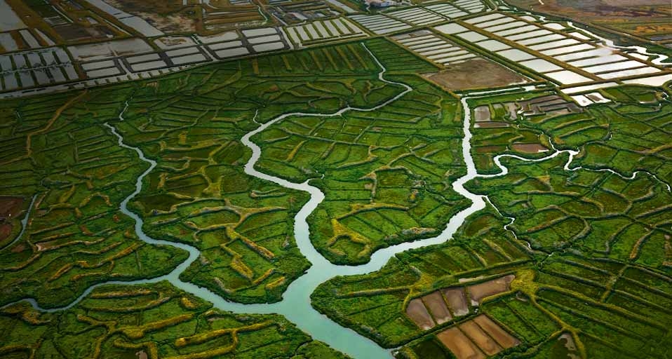 Marais à l’embouchure de la Seudre, Marennes, Charente-Maritime (© Francis Cormon/Hemis/Corbis) &copy; (Bing France)