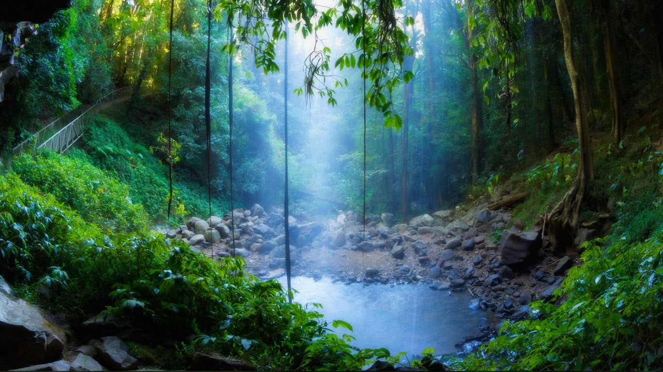 Crystal Shower Falls, Dorrigo National Park, New South Wales, Australia (© Jochen Schlenker/Masterfile)(Bing Canada)