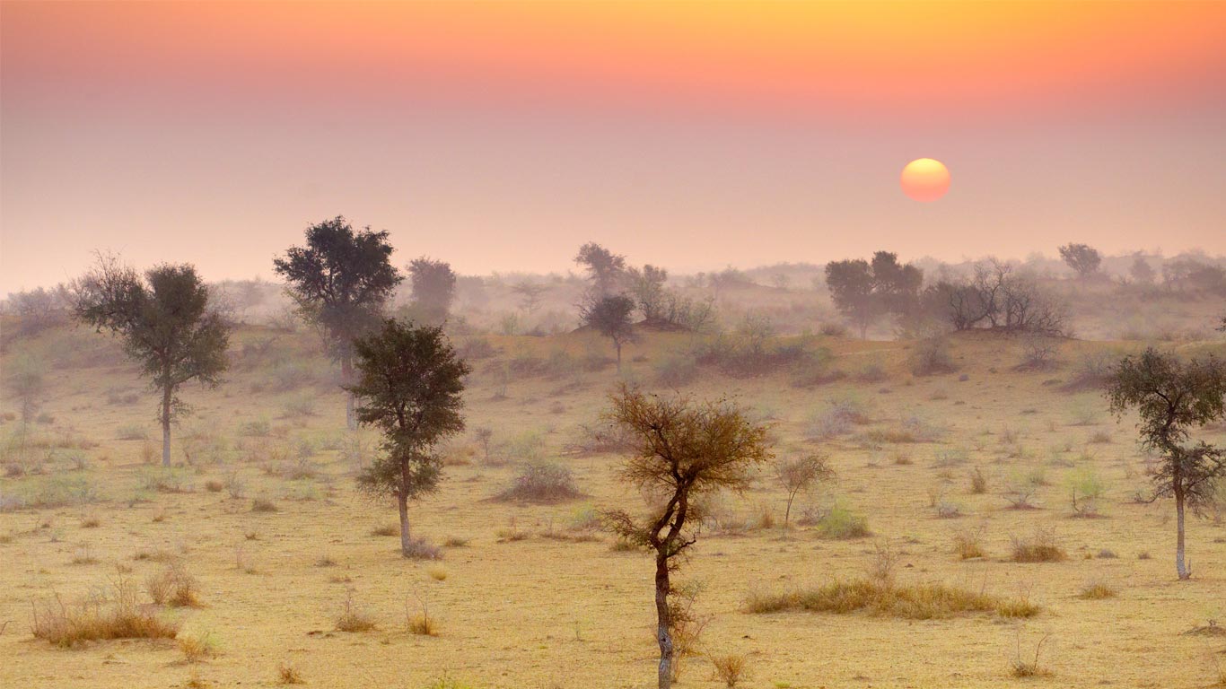 Thar Desert near Jaisalmer, Rajasthan, India (© Jan Wlodarczyk/Alamy Stock Photo)(Bing New Zealand)