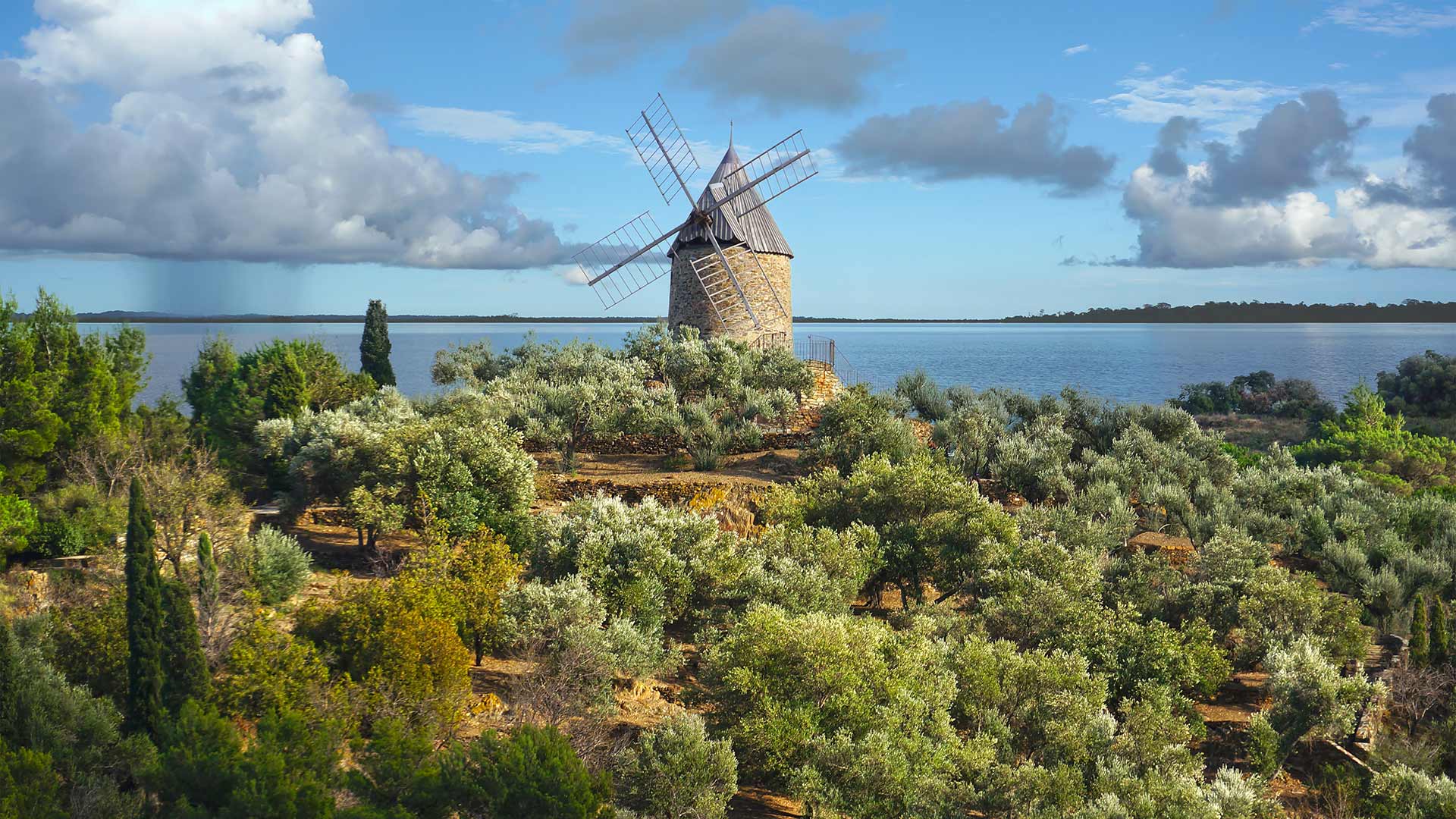Ancien moulin à vent en pierre dans un champ d’olives et la Méditerranée en arrière-plan, France (© Damocean/iStock/Getty Images Plus)(Bing France)