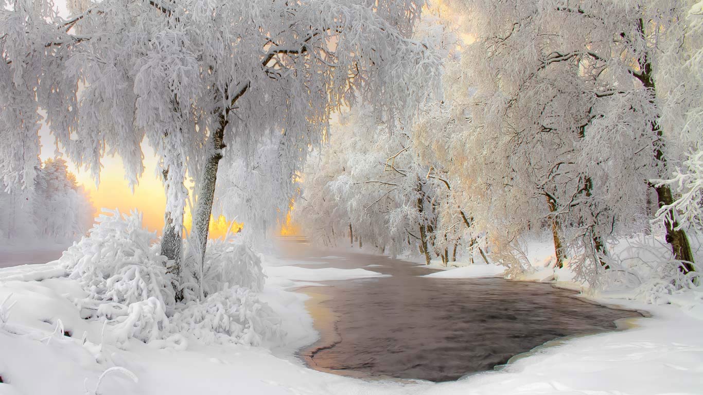库赫莫附近的冬日美景，芬兰 (© Ville Heikkinen/iStock/Getty Images Plus)(Bing China)