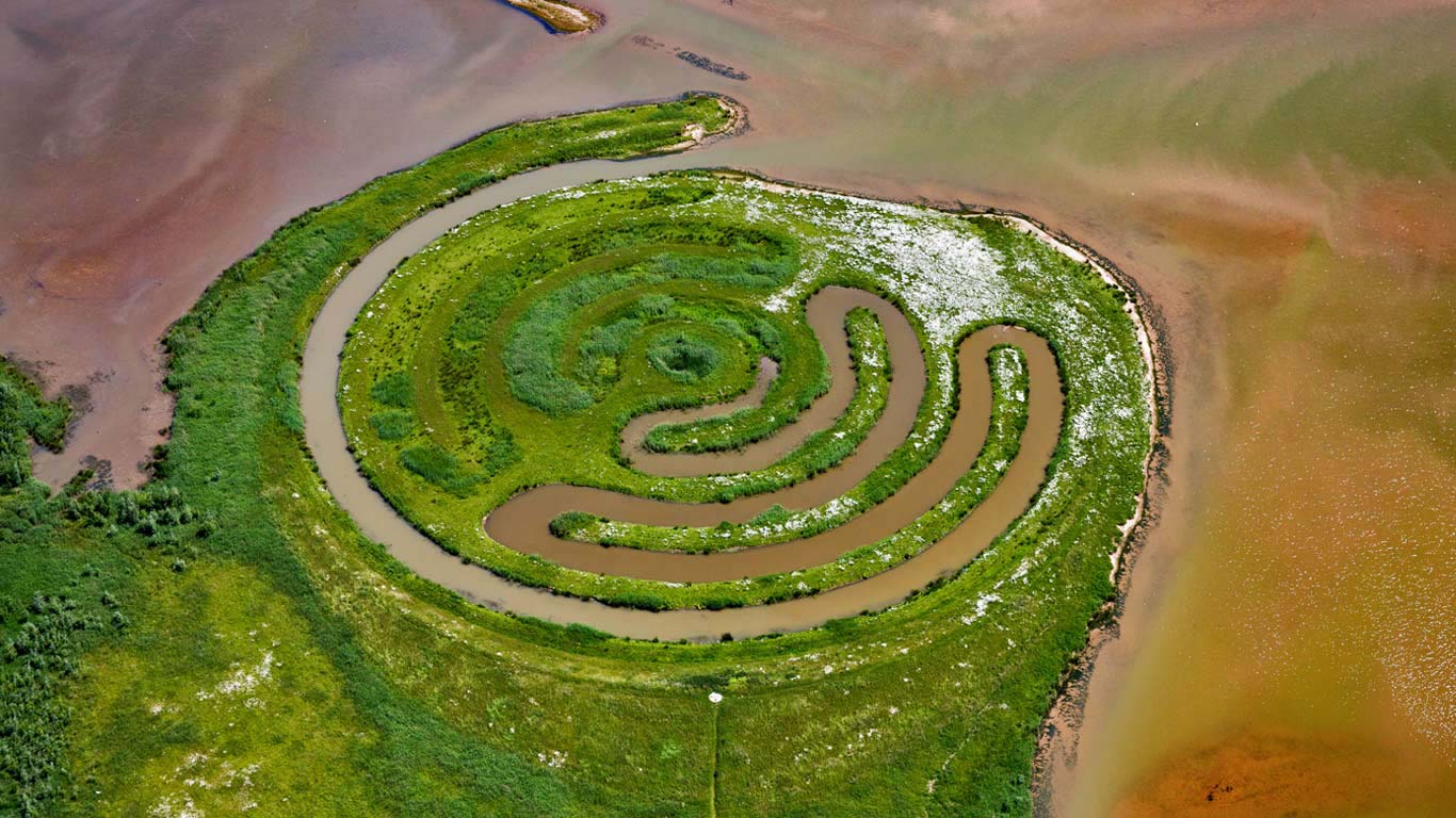 在De Biesbosch国家公园，土地艺术家Paul de Kort的装置艺术作品，荷兰 (© Frans Lemmens/Alamy)(Bing China)