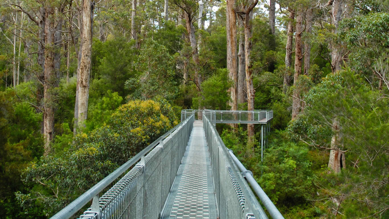Valley of the Giants, Denmark, Western Australia (© Paul Street/Alamy)(Bing Australia)