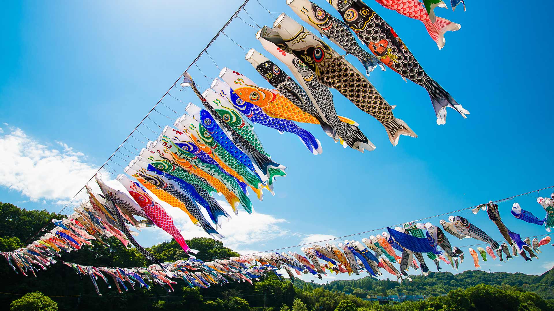 ｢泳げ鯉のぼり相模川｣神奈川, 相模原市 (©  Leo Hartadi/500px/Getty Images)(Bing Japan)